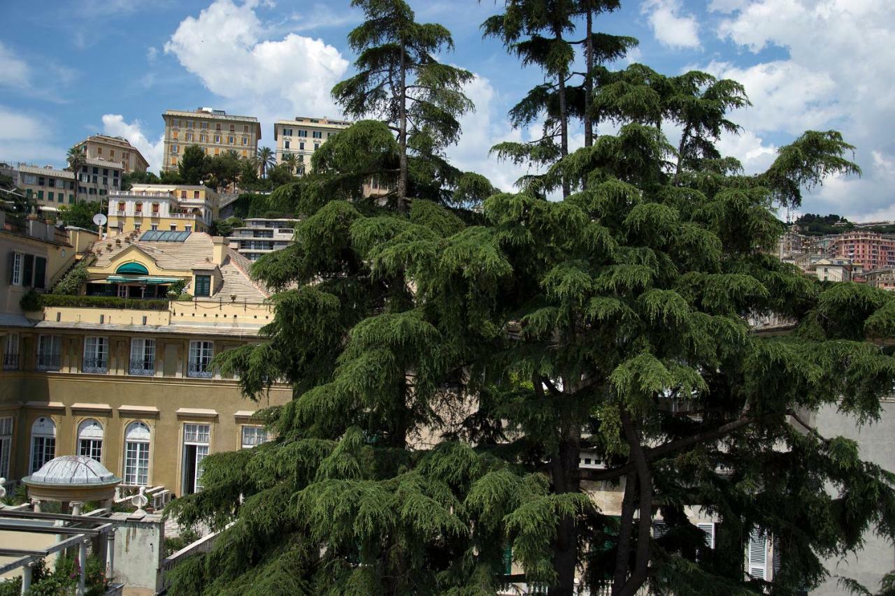 Sky On The Roofs - Il Cielo Sui Tetti Affittacamere